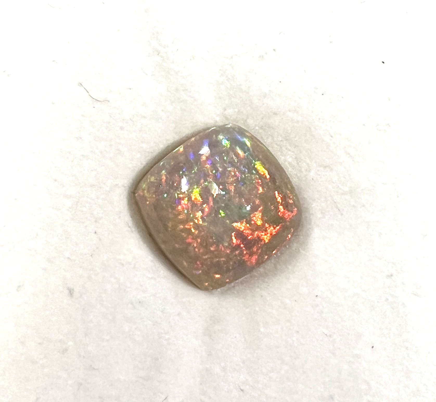 270 00136.jpg